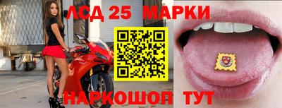молекула духа Донецк
