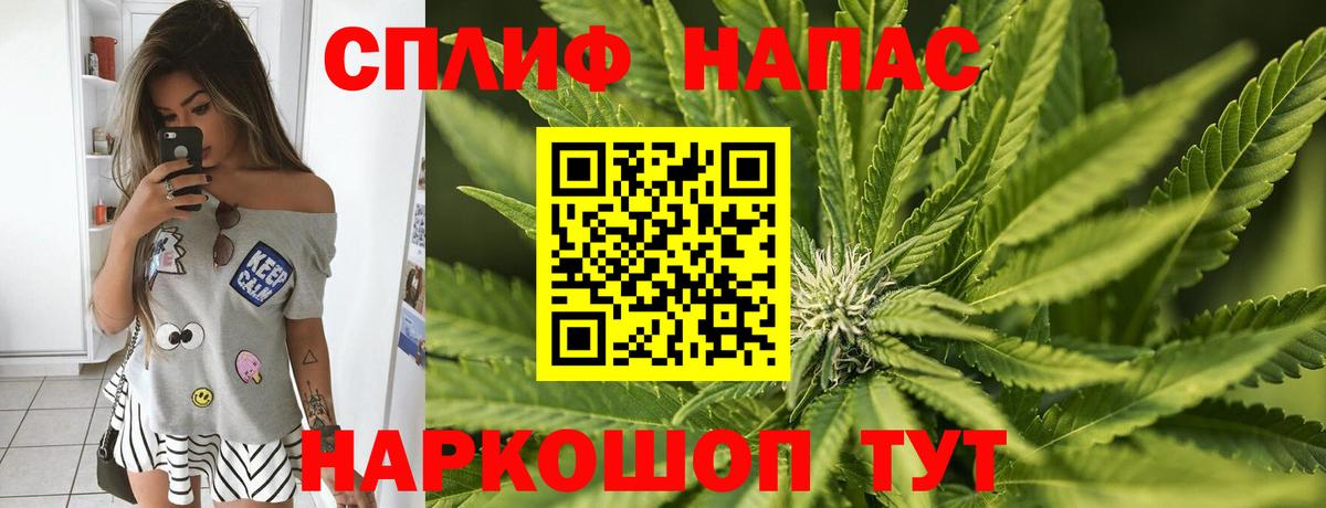 Бошки марихуана Bruce Banner  Марихуана план  Вход с VPN  Южноуральск  Канабис Ganja  Шишки марихуана гибрид 